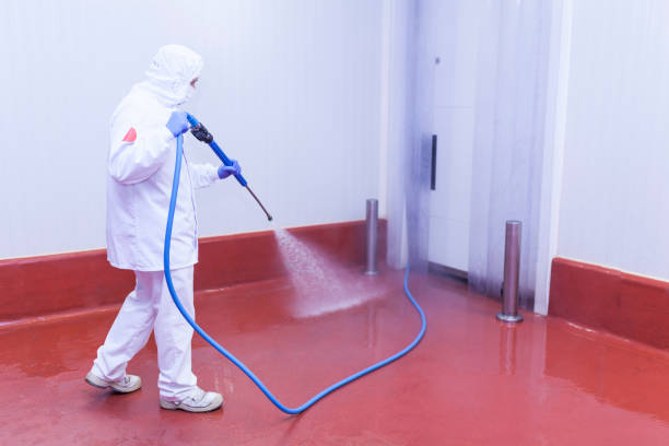 Best Driveway Pressure Washing  in Moraga, CA